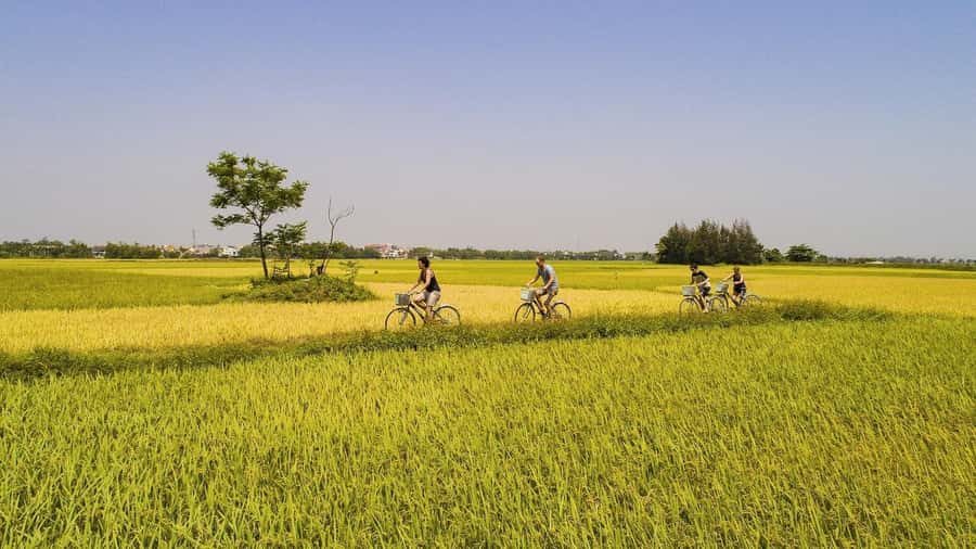 Hoi An : Eco Bicycle Tour with Fishing and Lunch/Dinner - Why This Half-Day Tour Works