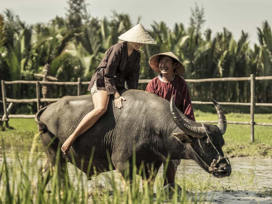 Hoi An : Eco Bicycle Tour with Fishing and Lunch/Dinner - The Cam Thanh Basket Boat Ride