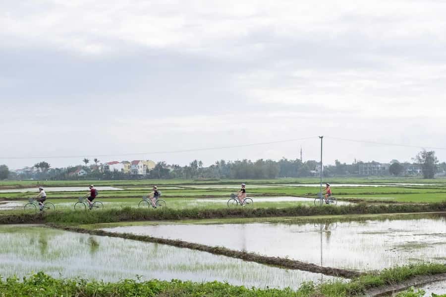 Hoi An : Eco Bicycle Tour with Fishing and Lunch/Dinner - The Guides Make the Difference