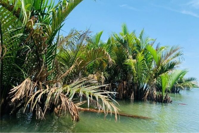 Hoi An Farming And Fishing Life - Trying farm work in Tra Que’s gardens