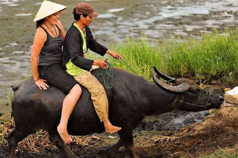 Hoi An Wet Rice Farming Tour-Basket Boat Tour Fishing-Lunch - Catching fish beneath the young rice plants