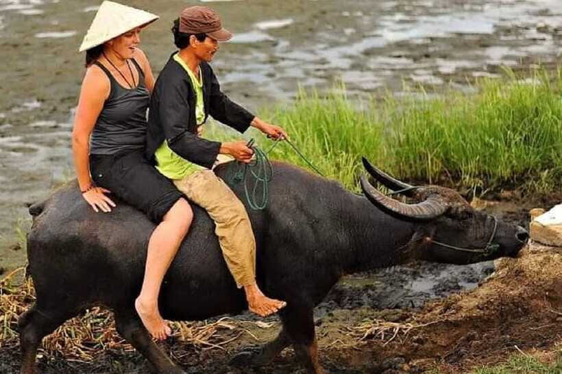 Hoi An Wet Rice Farming Tour-Basket Boat Tour Fishing-Lunch - Local noodles and Vietnamese iced coffee