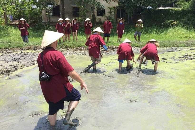 Hoi An Wet Rice Farming Tour-Basket Boat Tour Fishing-Lunch - What the $20 price really buys