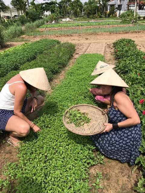 Hoian/Da Nang: Fishing, basket riding and cooking class - Is $35 a fair price?