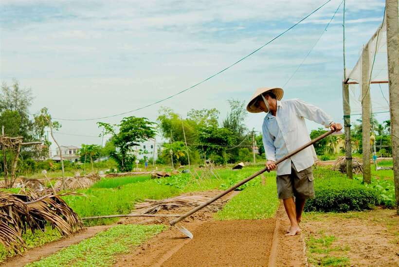 Hoian/Da Nang: Fishing, basket riding and cooking class - Starting at Hoi An Market