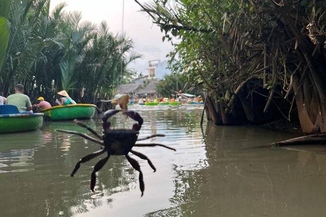 HoiAn:Making Lantern & Cooking Class-BasketBoat Ride,Crab fishing - Basket boats through the coconut and nipa palm forest