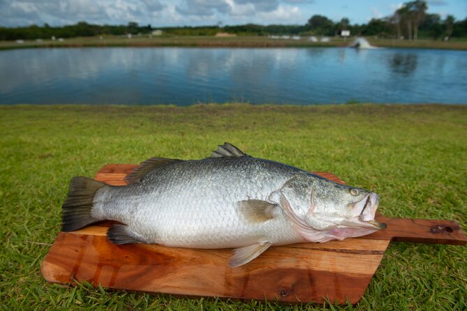 Hook-A-Barra Fishing and Farm Activity - Practical details before you book