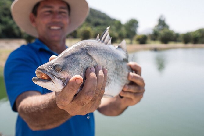Hook-A-Barra Fishing and Farm Activity - The first hour: from baby barra to growing ponds
