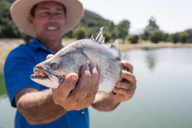 Hook A Barra Fishing Experience - The special viewing tanks are worth your time