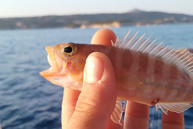 Hook Your Adventure Now with Chania Rod Fishing Experience - What the three hours feel like