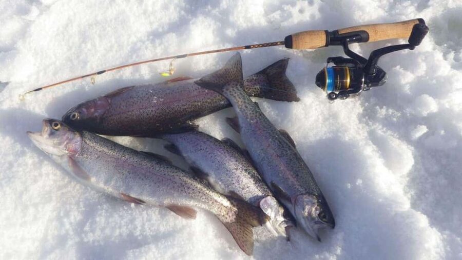 Ice Fishing Adventure in Levi with Salmon Soup - What the $135 price really buys you