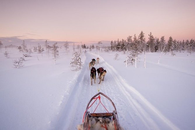 Ice Fishing and Husky - Key points to know before you book