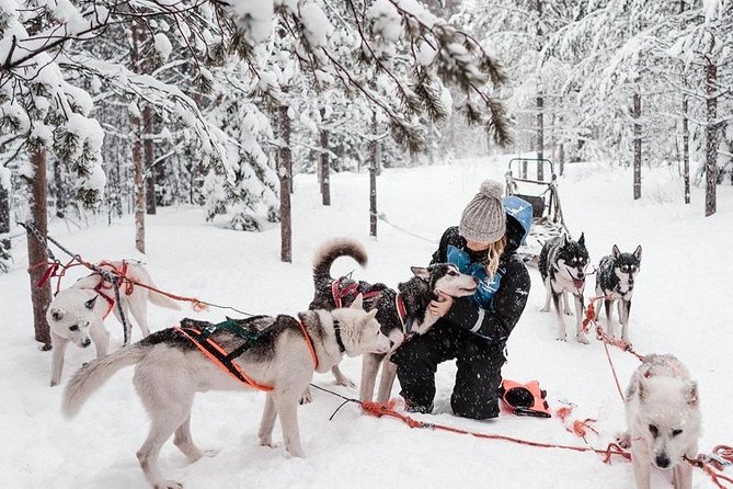 Ice Fishing and Husky - What this half-day trip really offers