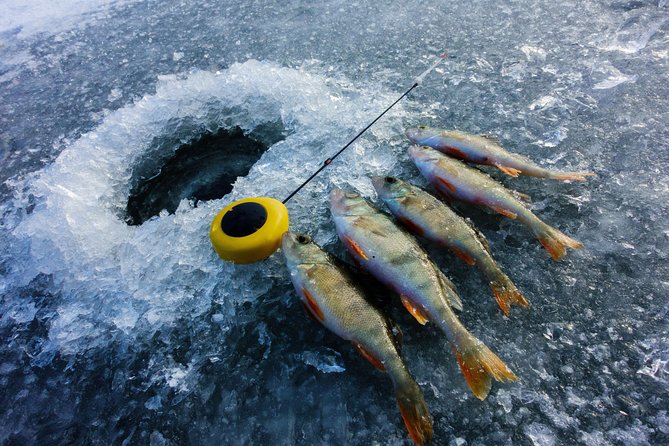 Ice Fishing and Husky - Transport, timing, and the 11 a.m. start