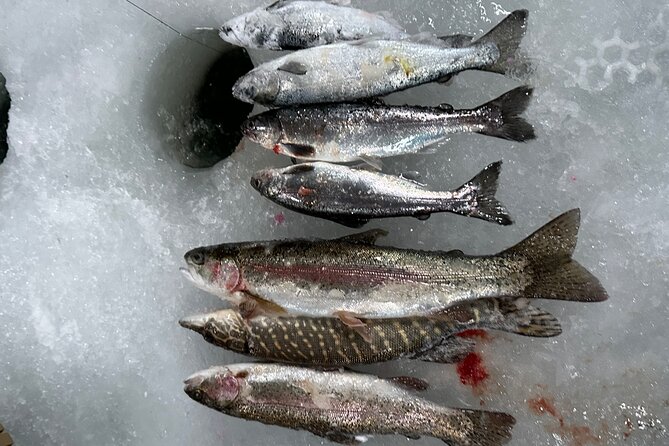 Ice Fishing in Fairbanks - Who will enjoy this outing most