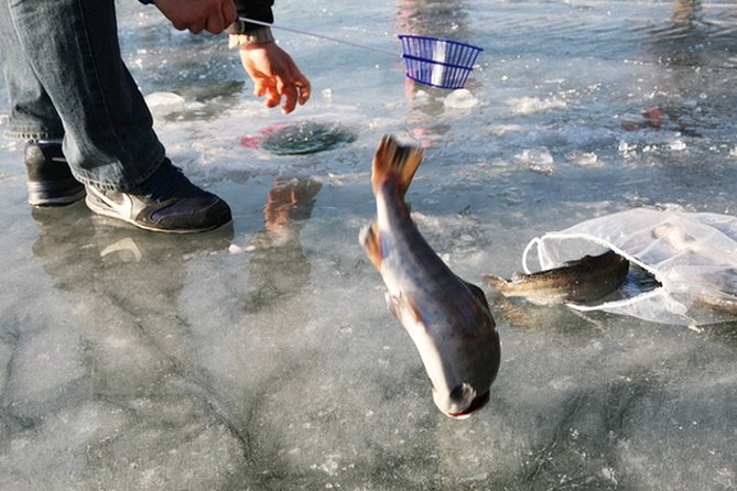 Ice Fishing Tour - Hwacheon Sancheoneo Ice Festival Day Trip from Seoul - The guide can shape the whole day
