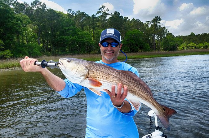 Inshore Fishing Charter - What the catch can look like