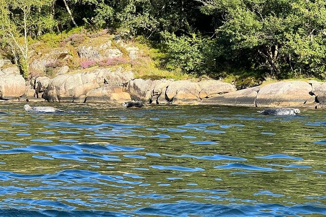 Inshore fishing in the Drangefjord - Who will enjoy this Drangefjord outing