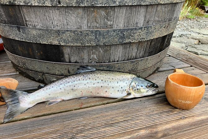 Inshore fishing in the Drangefjord - Timing, weather, and what to plan for