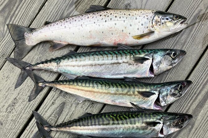 Inshore fishing in the Drangefjord - Following the fjord toward the fishing spots