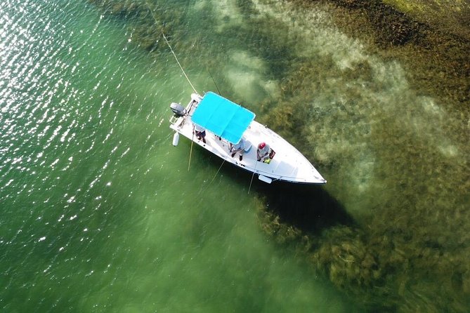 Inshore & Fly Fishing Punta Cana Private charter at Marina Cap Cana - What this Punta Cana charter is really offering