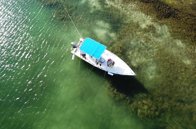 Inshore & Fly Fishing Punta Cana Private charter at Marina Cap Cana - Snorkeling between fishing stops