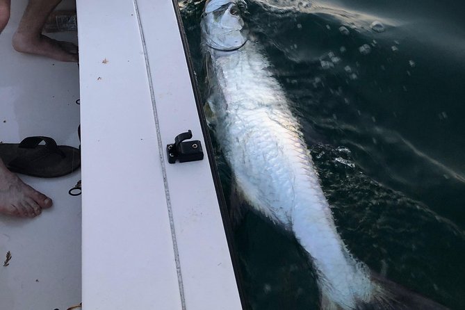 Inshore Sport Fishing with Local Guide - Why this works for beginners and experienced anglers