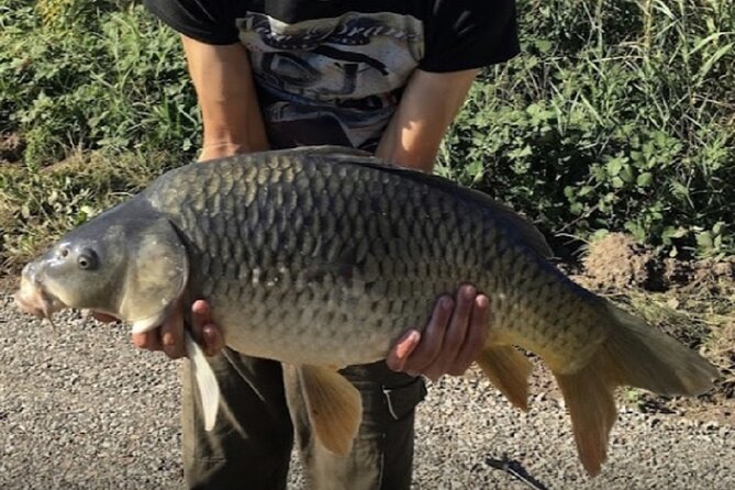 Introduction to fishing in Strasbourg - Key Points About This Strasbourg Fishing Lesson