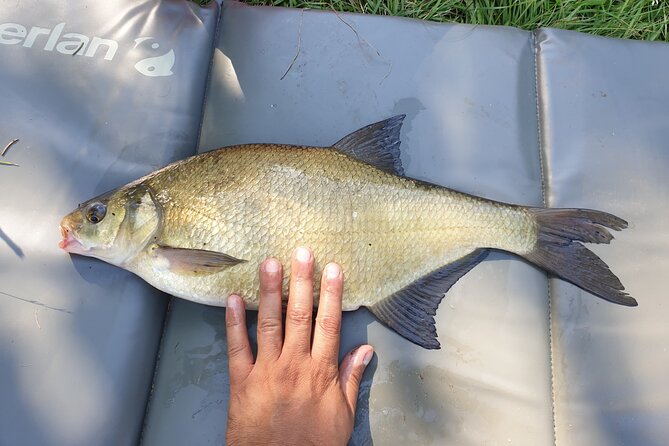 Introduction to fishing in Strasbourg - What the $60.08 Price Covers