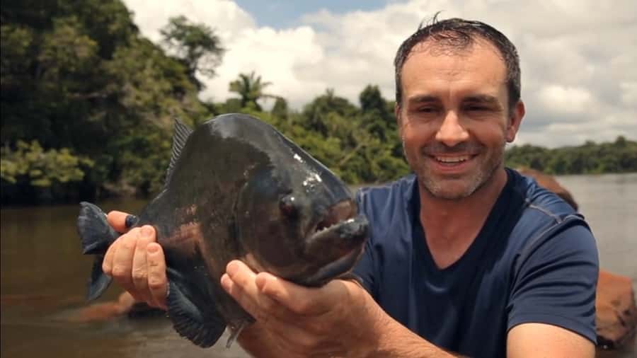 Iquitos: Piranha Fishing Experience in the Amazon jungle - One hour fishing at the Itaya and Amazon crossing