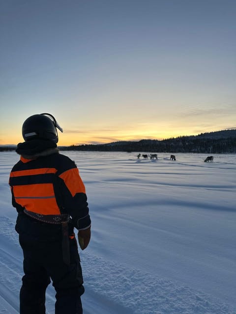 Ivalo: Ice Fishing Tour to Lake Inari, Reindeers & Lunch - What the $194 price includes