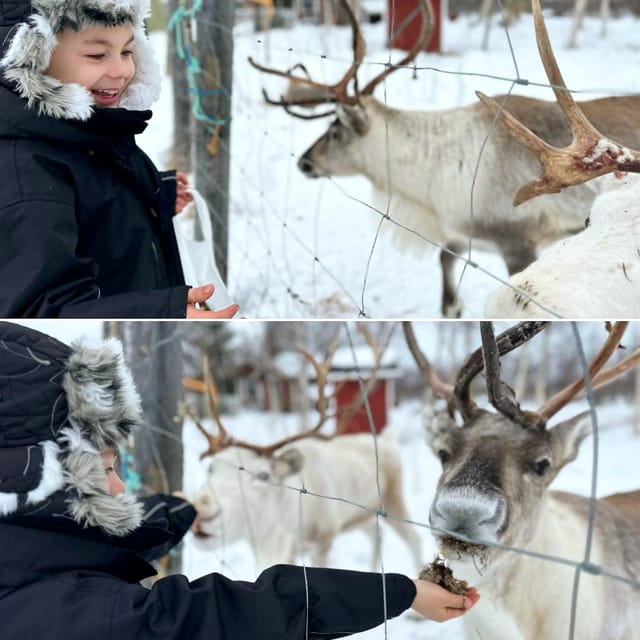 Ivalo: Ice Fishing Tour to Lake Inari, Reindeers & Lunch - Practical details that shape the day