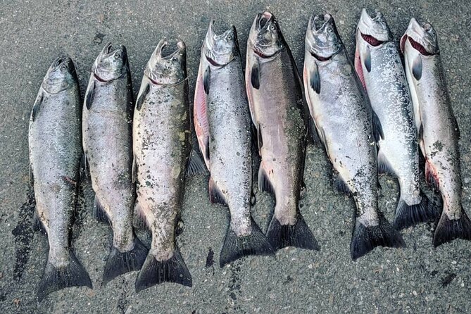Juneau Shore Fishing Shuttle and Gear - What you receive at the water