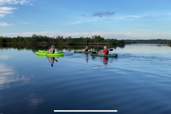 Kayak, paddle board, and fishing kayak rentals - From the bait shop to the mangrove launch