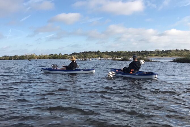 Kayak, paddle board, and fishing kayak rentals - Guided sightseeing and fishing choices