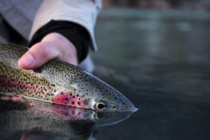 Kenai River Fishing Charter - Fishing the Kenai and Kasilof rivers