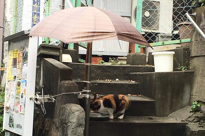 KOBE, SHIOYA, a quaint fishing town walking tour - Is $98.93 a Fair Price?