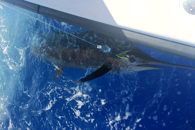 Kona - 5 Hours Private Fishing Charter in Kailua-Kona - Catching, releasing, and eating the fish