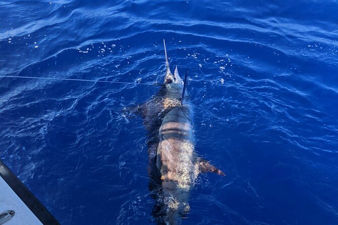 Kona - 5 Hours Private Fishing Charter in Kailua-Kona - What the five-hour outing feels like