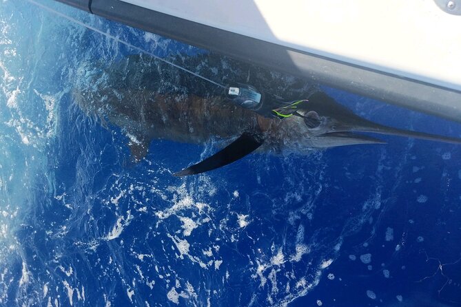 Kona - 6 Hour Private Fishing Charter Kona, Hawaii - Bait, drifting, and bottom fishing when conditions allow