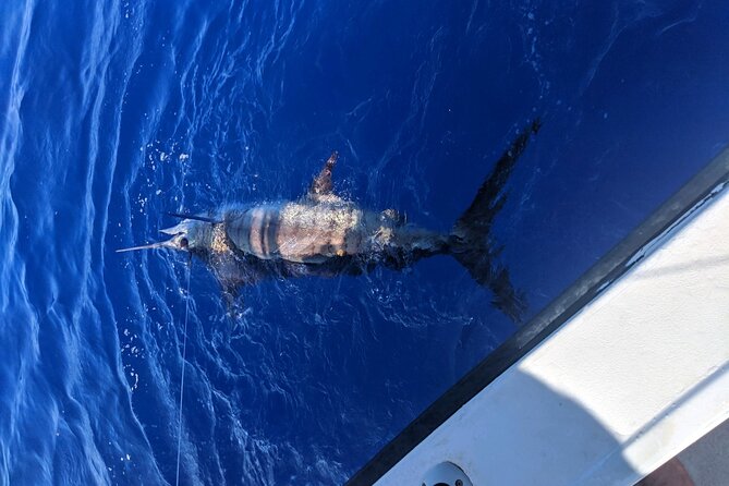 Kona - 6 Hour Private Fishing Charter Kona, Hawaii - Who will enjoy this six-hour outing