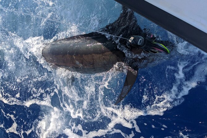 Kona - 8 Hour Private Fishing Charter in Kailua-Kona, Hawaii - The ocean views and the quiet stretches