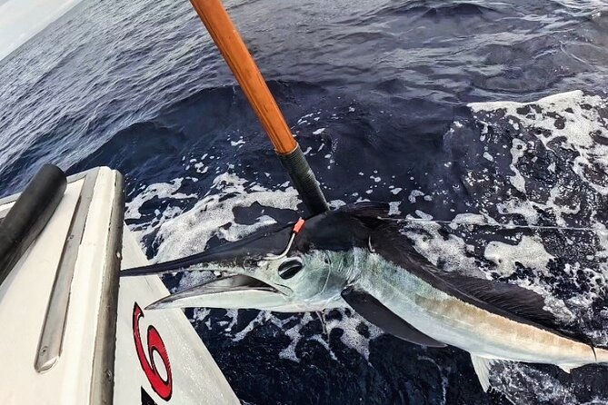 Kona Hawaii Deep Sea Fishing Escapade on the Bite Me 6 - What is included, and what you still need