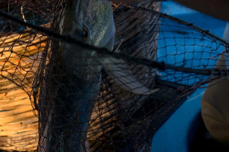 Kos, Greece: Fishing Trip Experience with Captain Tasos - What you receive on board