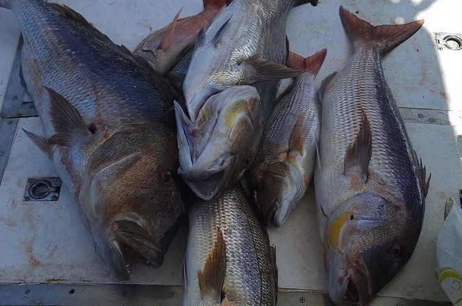 Kotor Private Fishing Adventure Blue Cave And Lunch - Who will enjoy this private outing most?