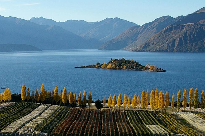 Lake Hāwea: 6 hour Fishing Adventure by Boat - What the catch can mean for your meal