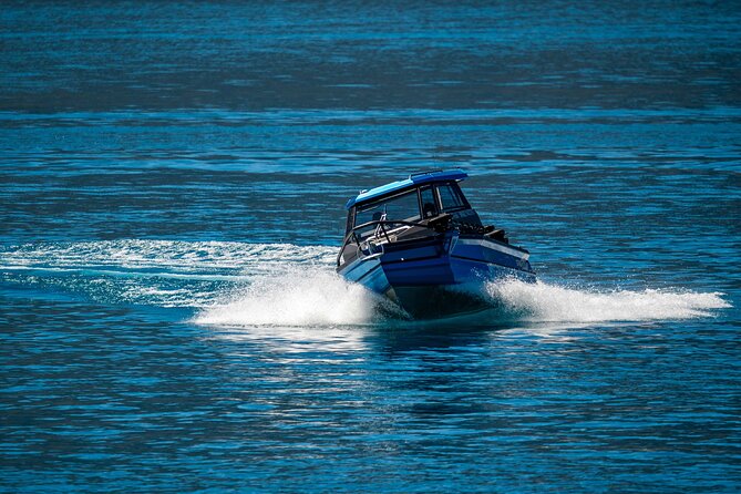 Lake Wānaka: 3 hour Fishing Adventure by Boat - Keeping your trout or salmon