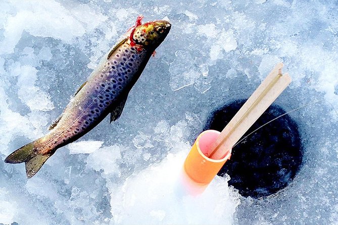 Lakeside Sauna Trip with Ice Fishing and Ice Swimming - What the $196 price really buys you