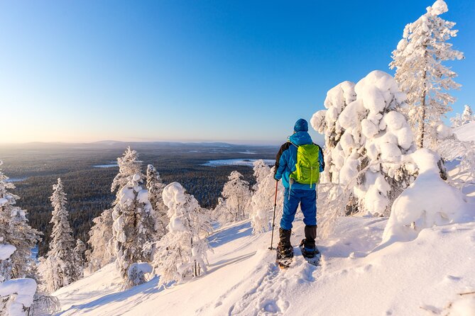 Lapland Ice Fishing Experience from Rovaniemi - What four hours really feels like