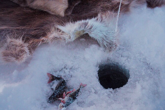 Levi Ice Fishing Experience in the Wild with Campfire Treats - Practical details that affect your day